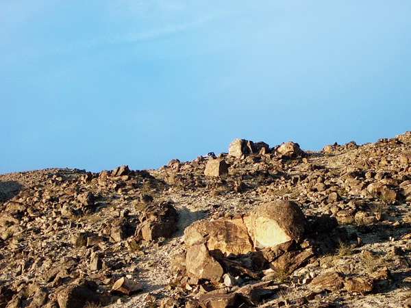 IM001092_075